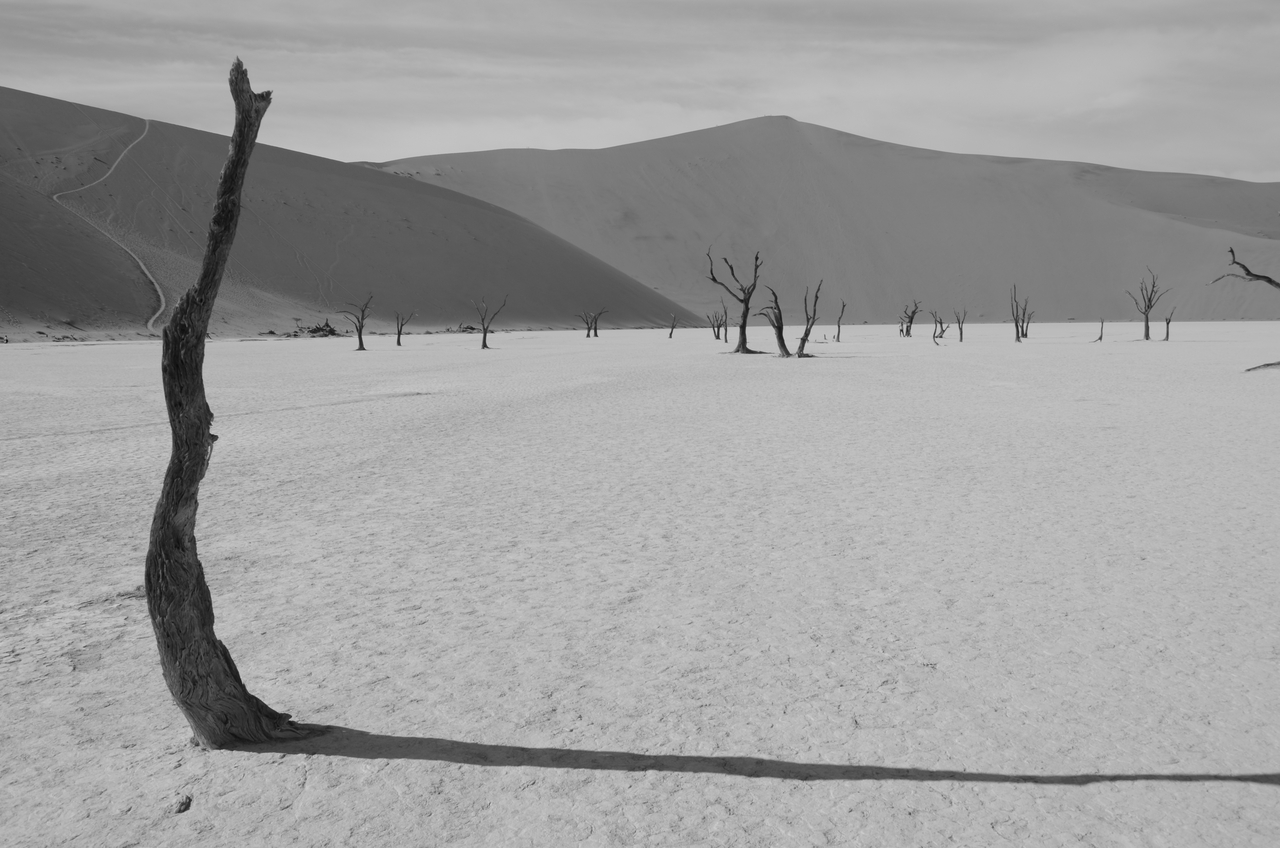 [14538] 2016_06_25_01_13_17_Africa_NIKON_D5100_IMG__04896.jpg