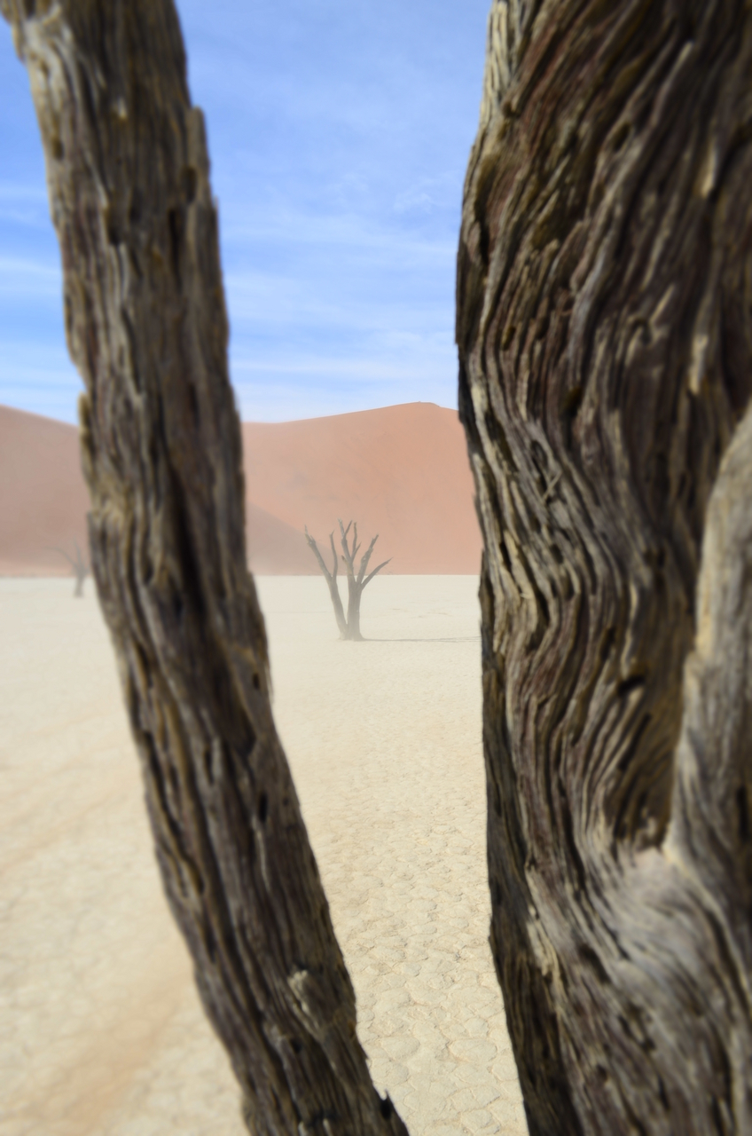 [14561] 2016_06_25_01_23_02_Africa_NIKON_D5100_IMG__00286.jpg