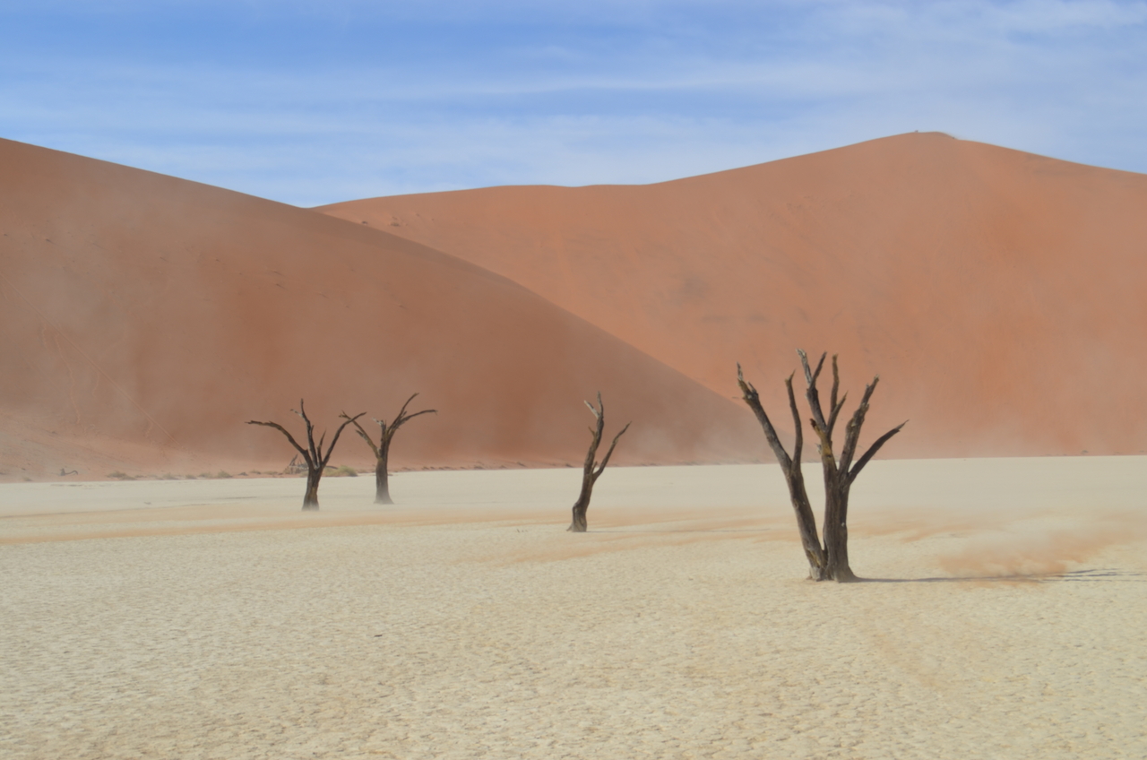 [14564] 2016_06_25_01_23_10_Africa_NIKON_D5100_IMG__04909.jpg