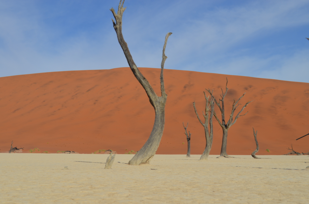 [14572] 2016_06_25_01_24_36_Africa_NIKON_D5100_IMG__04913.jpg