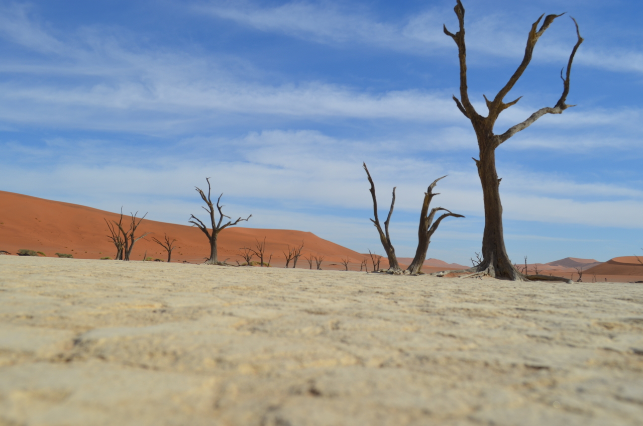 [14581] 2016_06_25_01_26_10_Africa_NIKON_D5100_IMG__00294.jpg