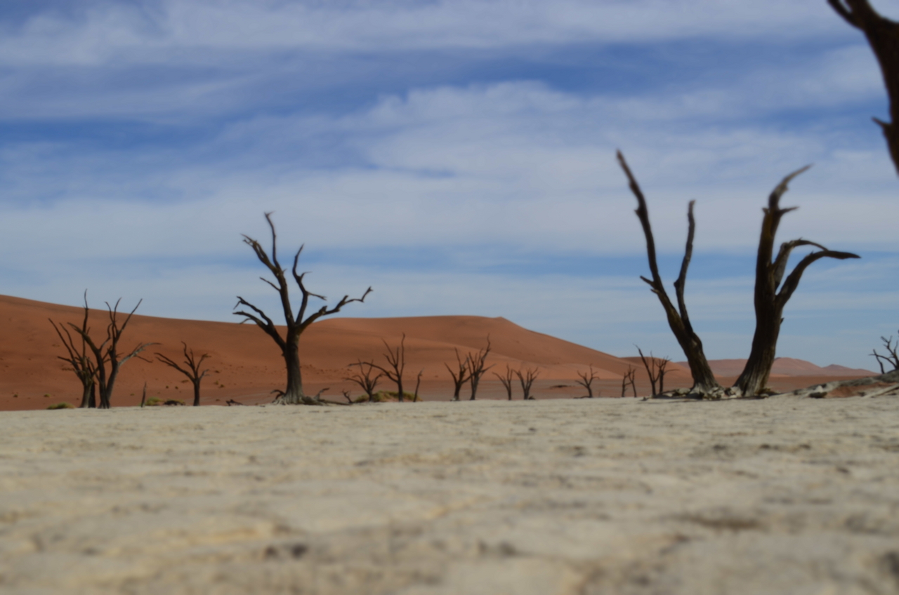 [14588] 2016_06_25_01_27_12_Africa_NIKON_D5100_IMG__04919.jpg