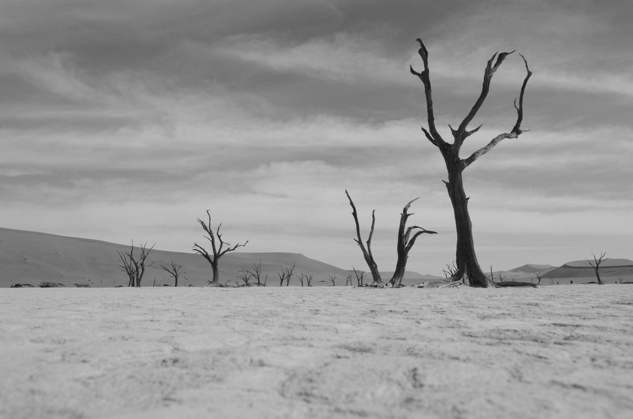 [14590] 2016_06_25_01_27_35_Africa_NIKON_D5100_IMG__04920.jpg