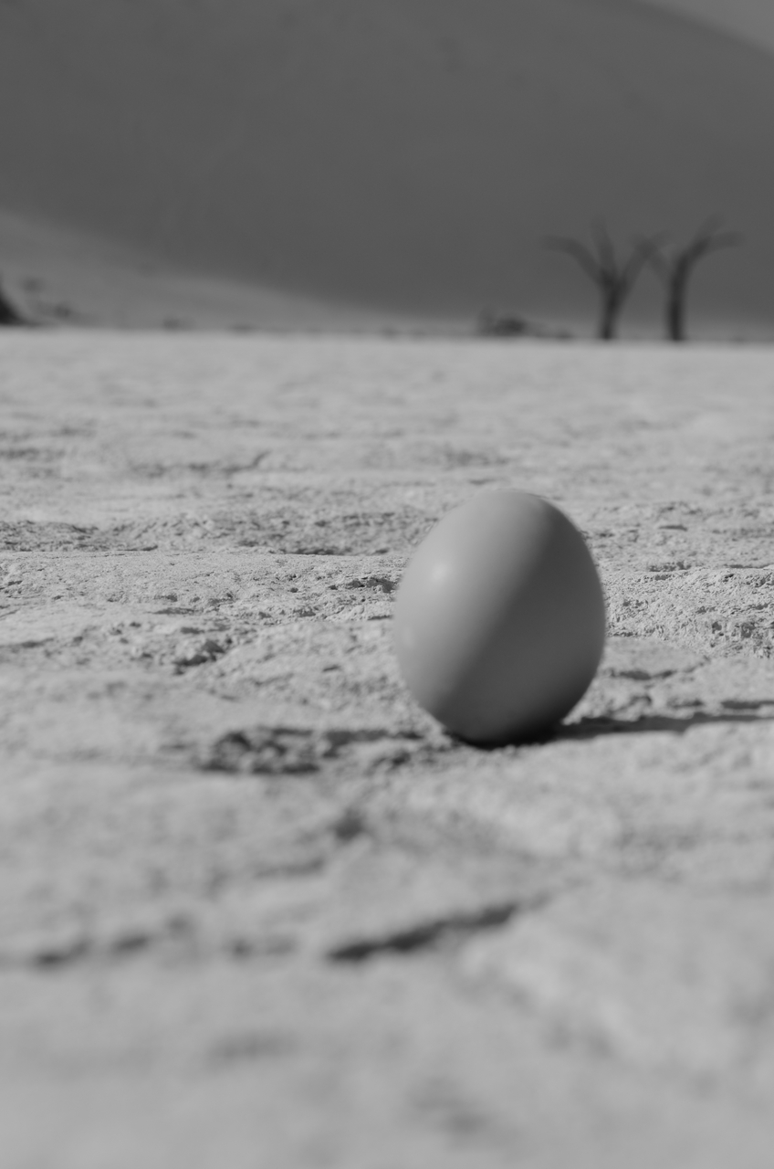 [14606] 2016_06_25_01_30_46_Africa_NIKON_D5100_IMG__04928.jpg