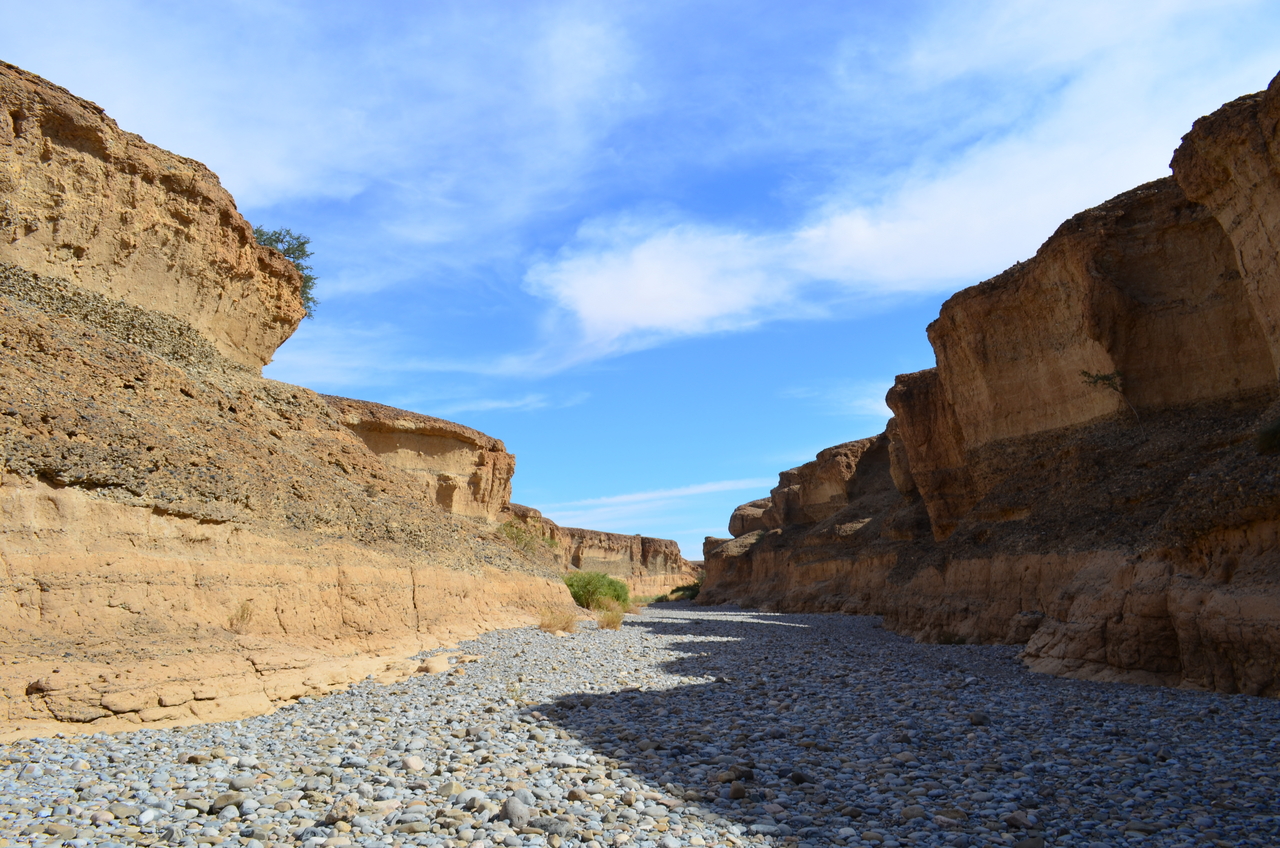 [15029] 2016_06_25_03_28_26_Africa_NIKON_D5100_IMG__00312.jpg