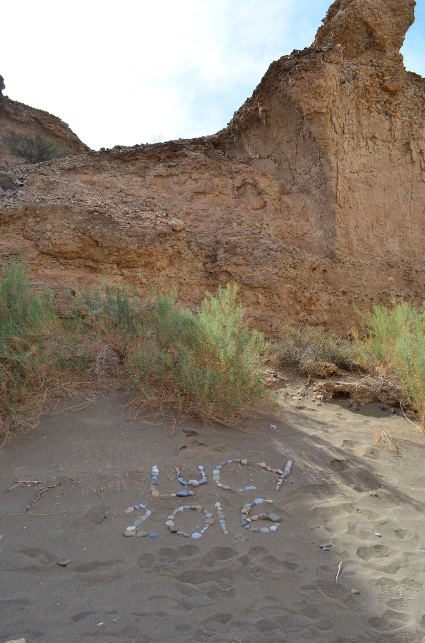 [15160] 2016_06_25_03_43_27_Africa_NIKON_D5100_IMG__00313.jpg