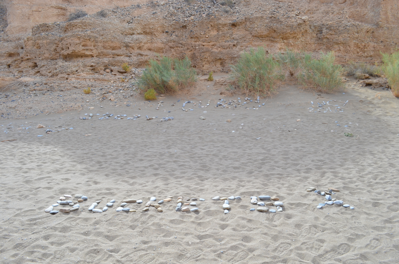 [15176] 2016_06_25_03_49_28_Africa_NIKON_D5100_IMG__04941.jpg