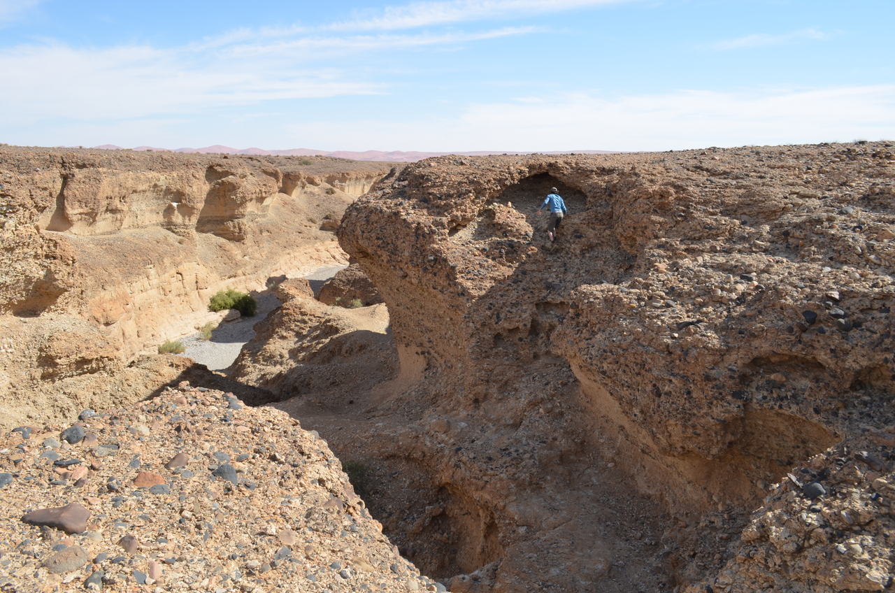 [15250] 2016_06_25_04_04_39_Africa_NIKON_D5100_IMG__00322.jpg