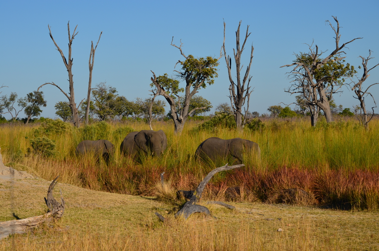 [17360] 2016_06_27_22_26_09_Africa_NIKON_D5100_IMG__04963.jpg