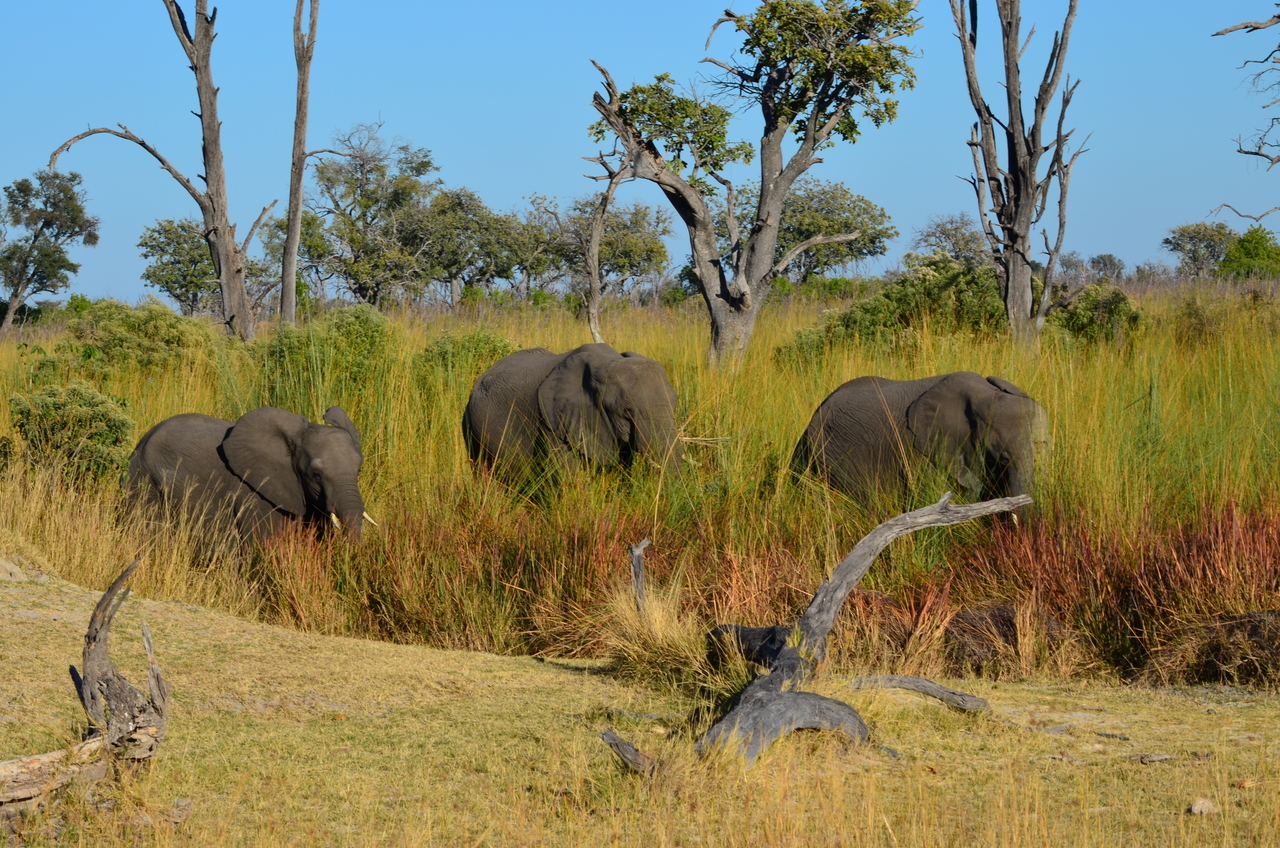 [17366] 2016_06_27_22_28_02_Africa_NIKON_D5100_IMG__04966.jpg