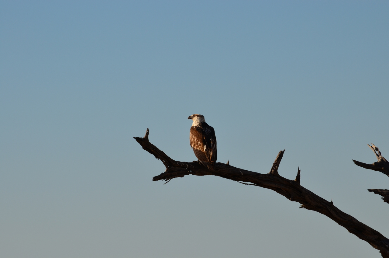 [17389] 2016_06_27_22_44_57_Africa_NIKON_D5100_IMG__00356.jpg