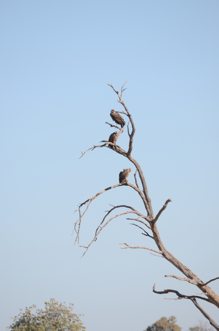 [17419] 2016_06_27_23_29_09_Africa_NIKON_D5100_IMG__00371.jpg