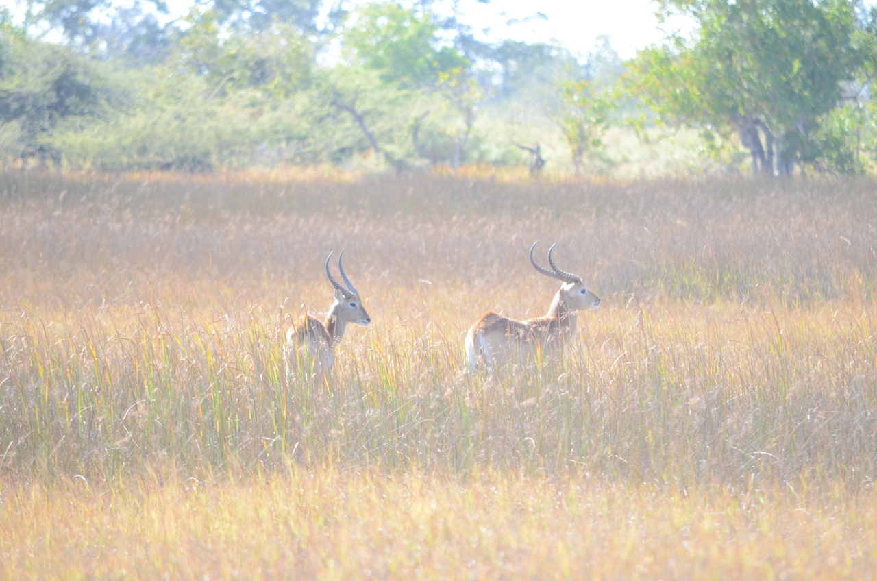 [17425] 2016_06_28_00_05_11_Africa_NIKON_D5100_IMG__00374.jpg