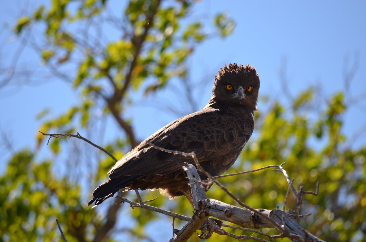 [17553] 2016_06_28_01_10_22_Africa_NIKON_D5100_IMG__00400.jpg