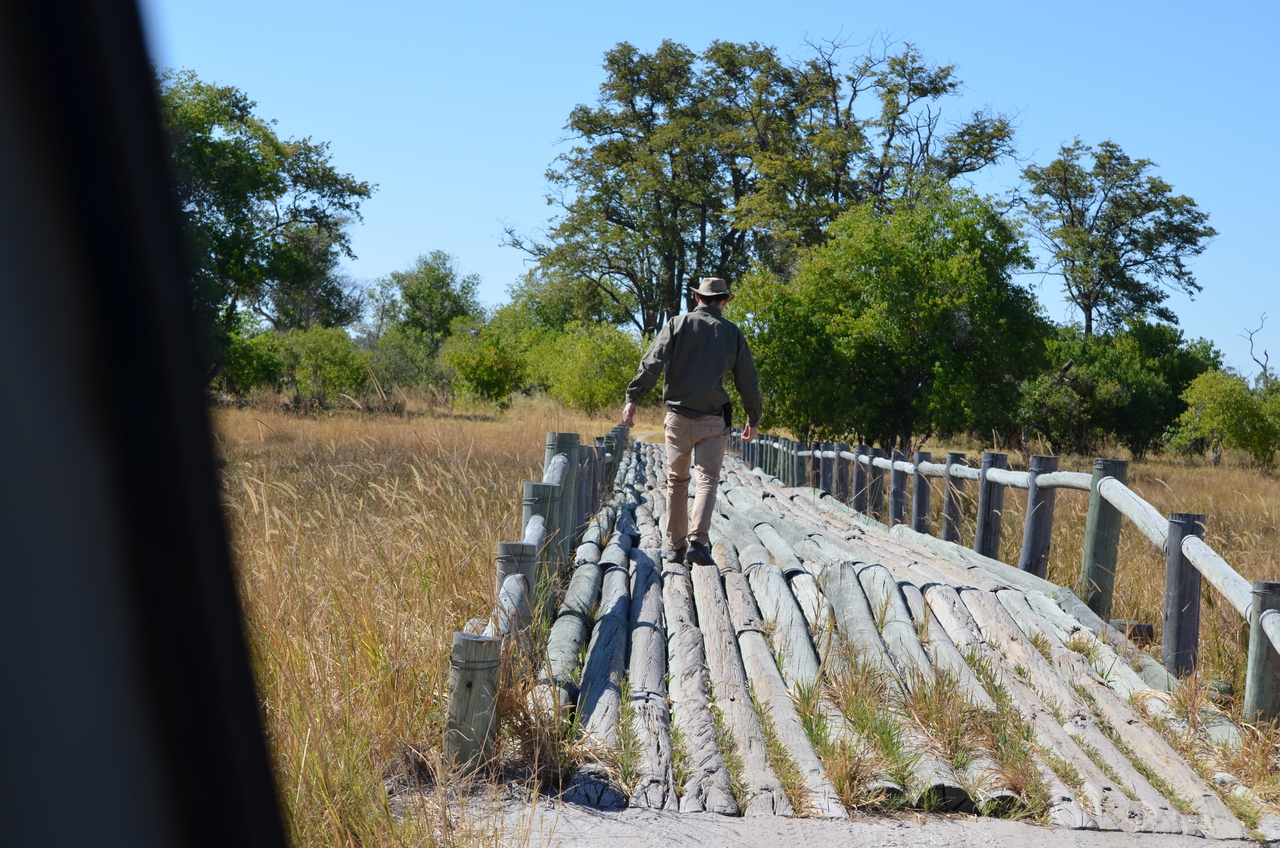 [17698] 2016_06_28_01_25_44_Africa_NIKON_D5100_IMG__05028.jpg