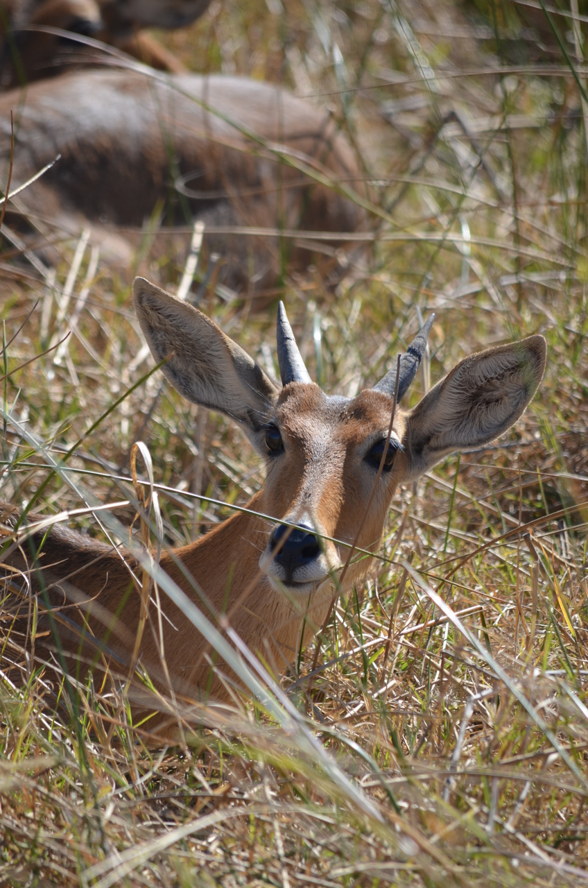 [17706] 2016_06_28_01_28_29_Africa_NIKON_D5100_IMG__05032.jpg