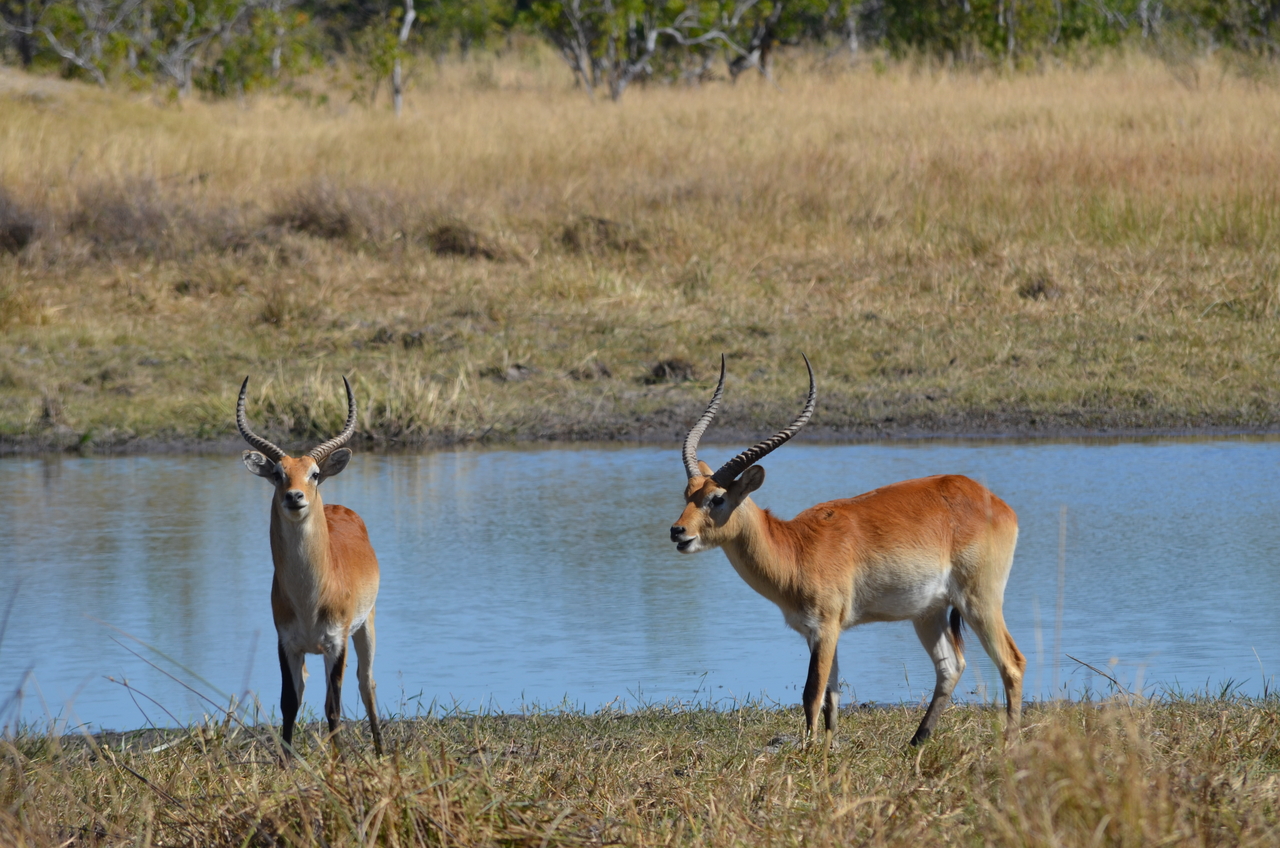 [17717] 2016_06_28_01_41_45_Africa_NIKON_D5100_IMG__05033.jpg
