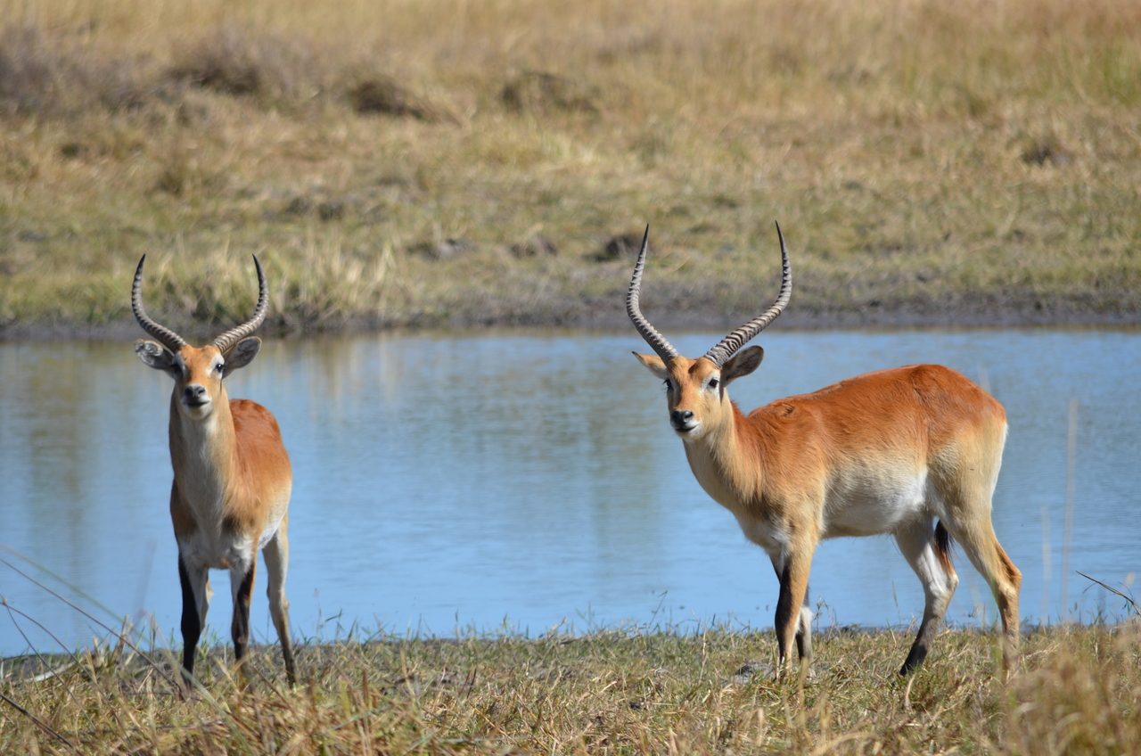 [17719] 2016_06_28_01_41_50_Africa_NIKON_D5100_IMG__05034.jpg