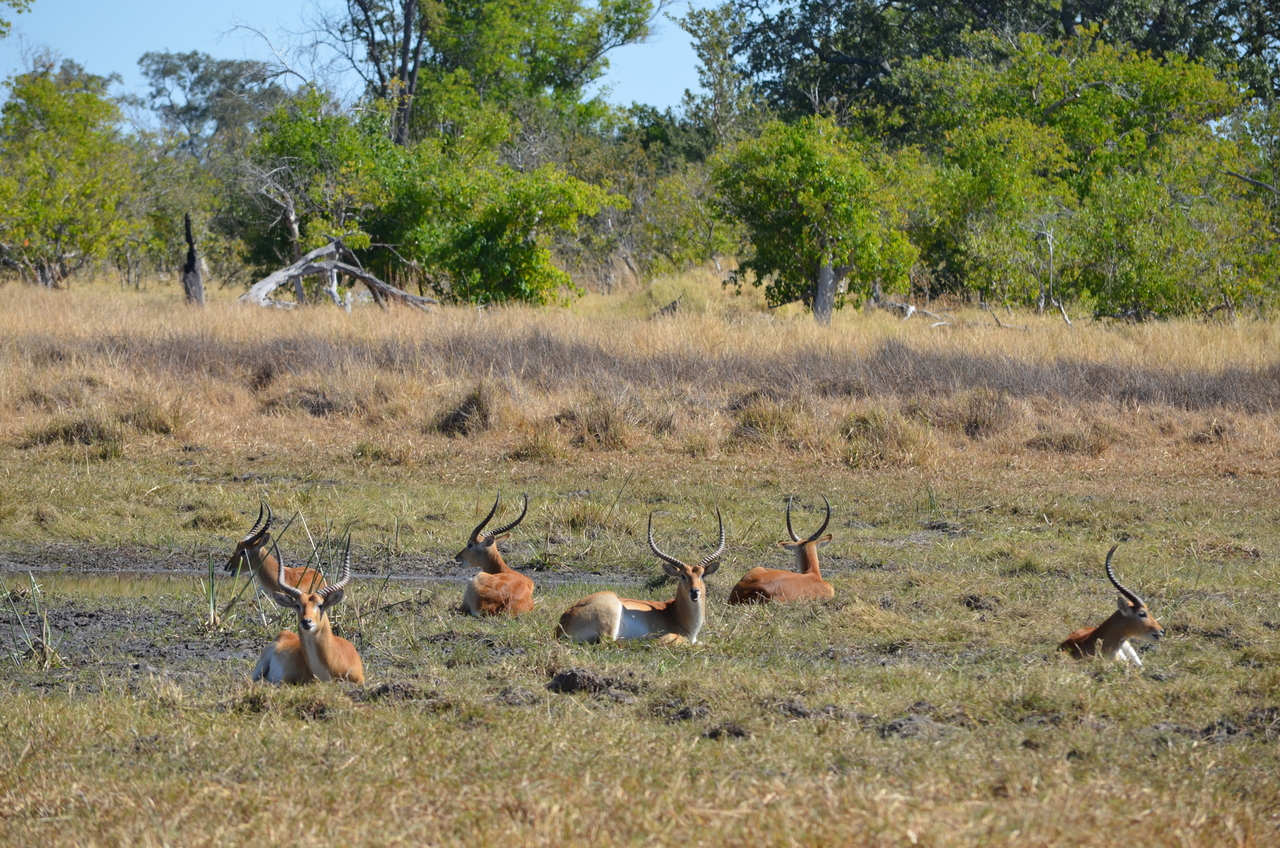 [17720] 2016_06_28_01_42_04_Africa_NIKON_D5100_IMG__00413.jpg
