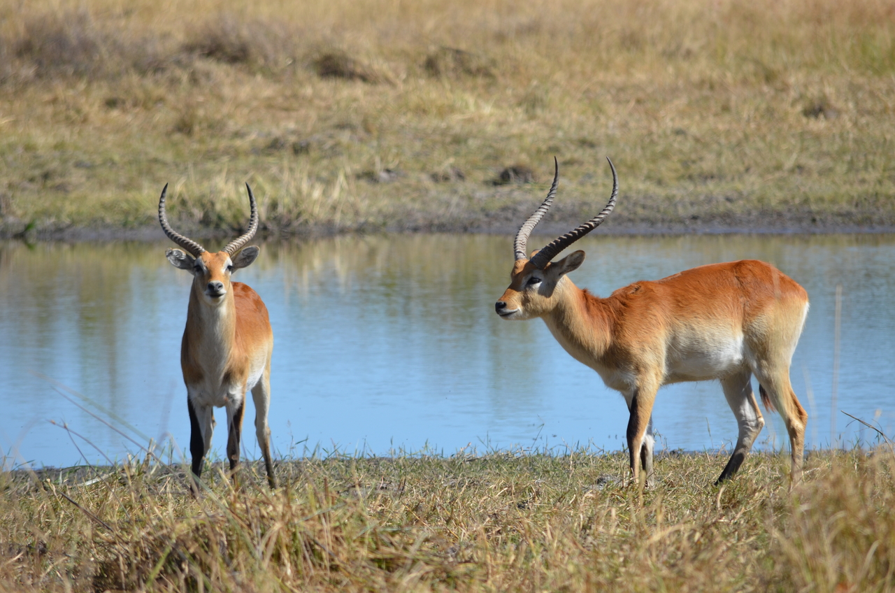 [17723] 2016_06_28_01_42_13_Africa_NIKON_D5100_IMG__05036.jpg