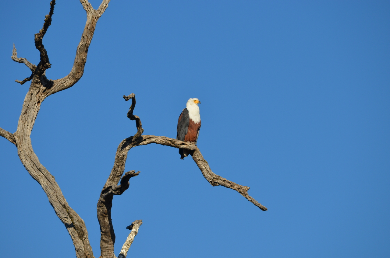 [20470] 2016_06_28_22_30_20_Africa_NIKON_D5100_IMG__05040.jpg