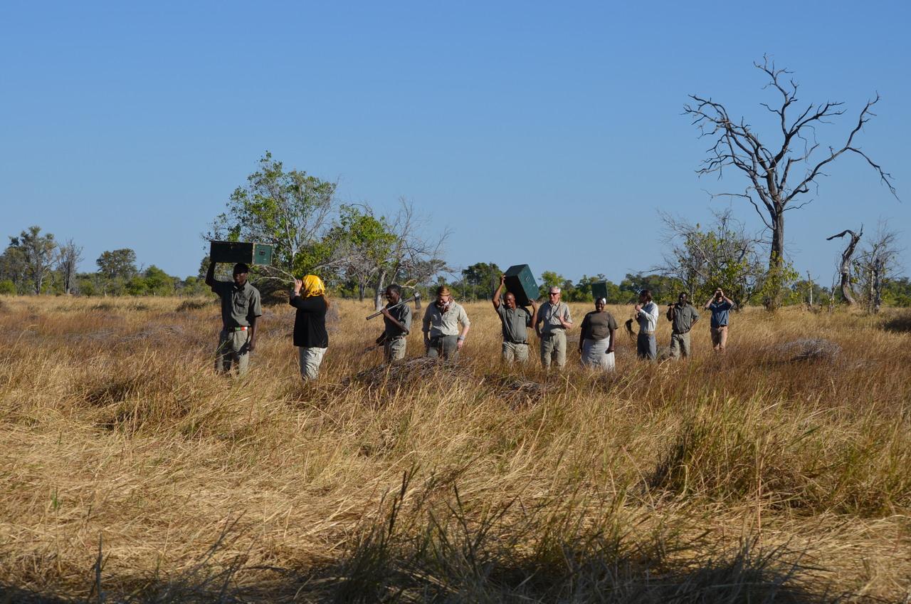 [21255] 2016_06_29_06_07_06_Africa_NIKON_D5100_IMG__05053.jpg