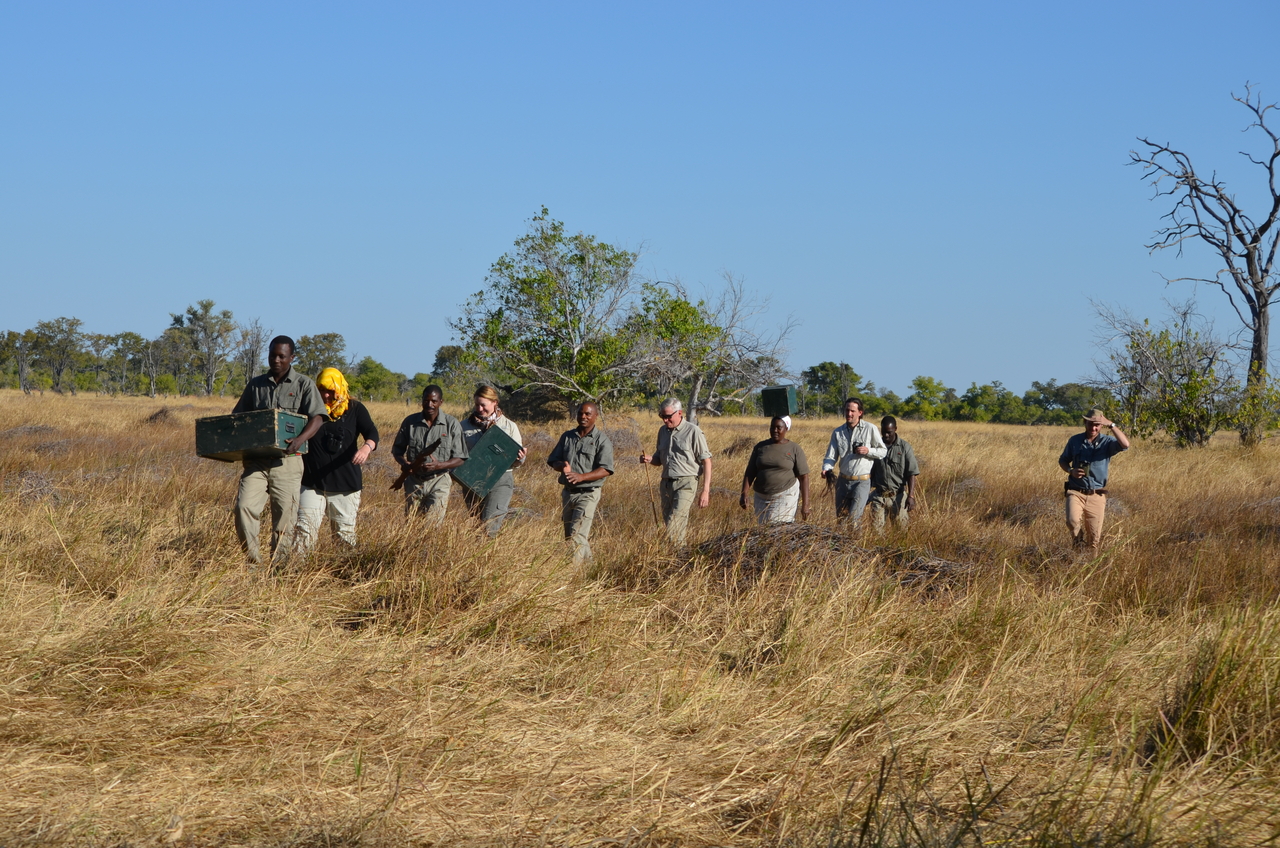 [21267] 2016_06_29_06_08_59_Africa_NIKON_D5100_IMG__05059.jpg