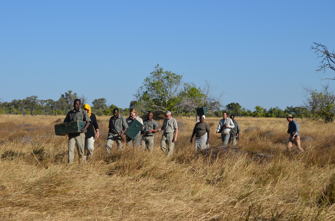 [21269] 2016_06_29_06_09_01_Africa_NIKON_D5100_IMG__05060.jpg