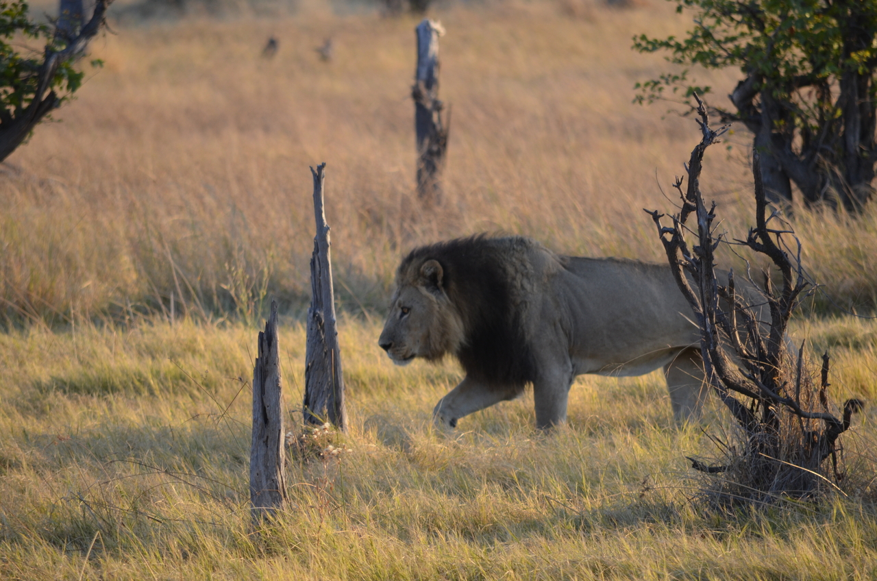 [22280] 2016_06_29_21_46_38_Africa_NIKON_D5100_IMG__00512.jpg