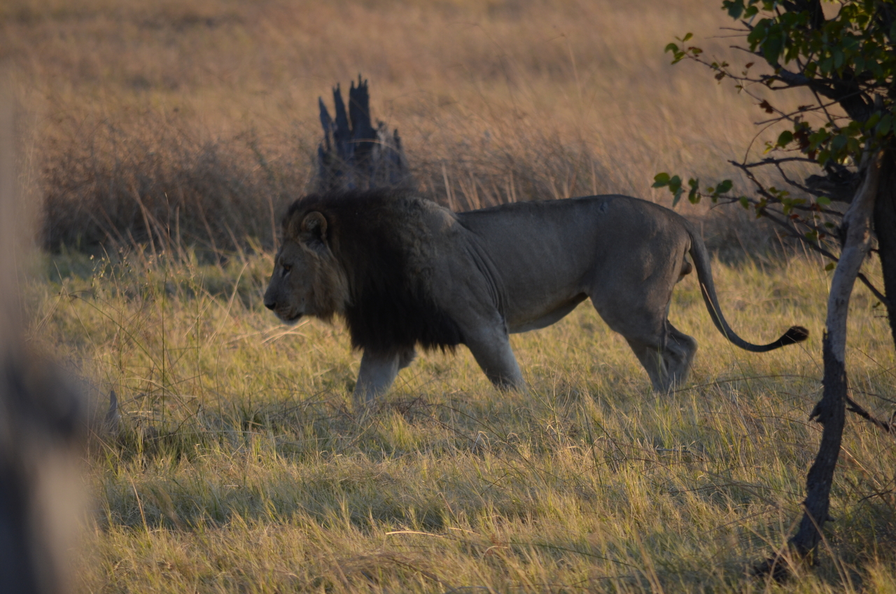 [22285] 2016_06_29_21_46_45_Africa_NIKON_D5100_IMG__05136.jpg
