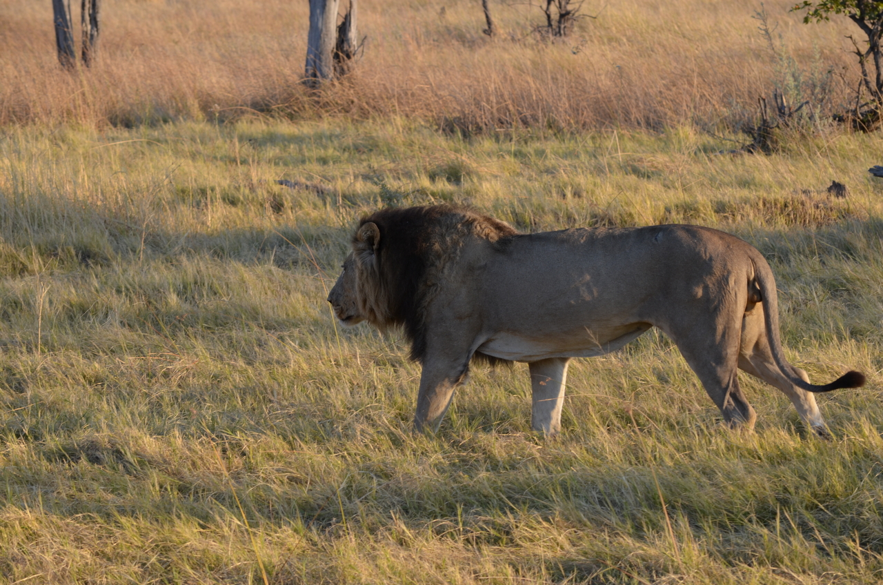 [22288] 2016_06_29_21_48_36_Africa_NIKON_D5100_IMG__00516.jpg