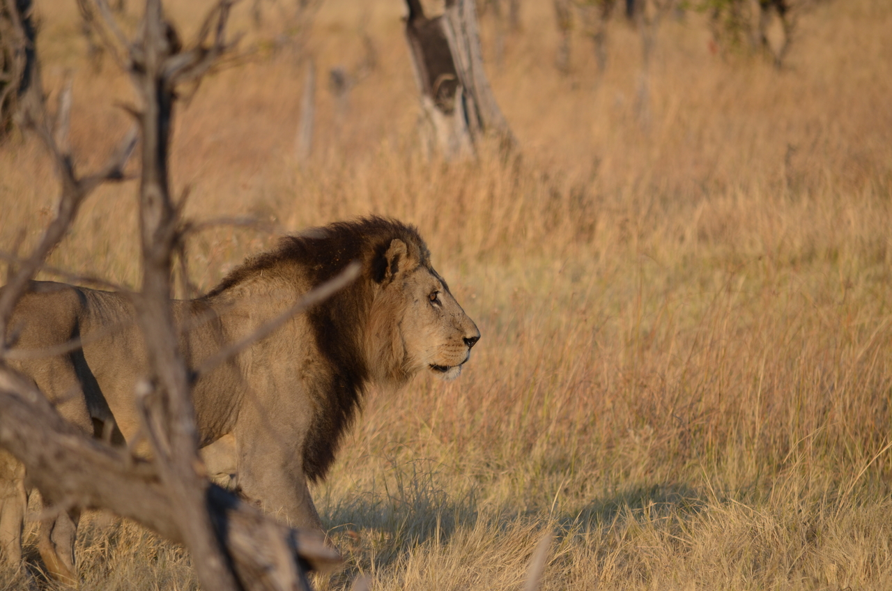 [22297] 2016_06_29_21_52_01_Africa_NIKON_D5100_IMG__05142.jpg