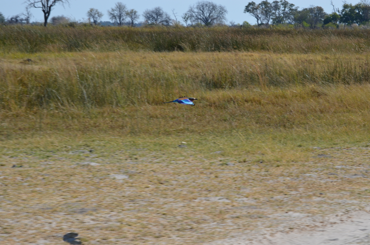 [22492] 2016_06_30_01_21_15_Africa_NIKON_D5100_IMG__00580.jpg