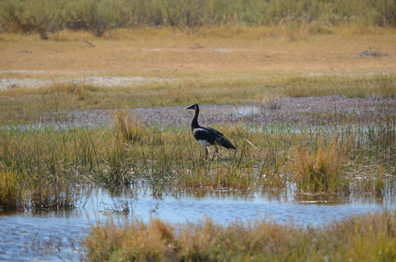[22581] 2016_06_30_01_34_12_Africa_NIKON_D5100_IMG__00590.jpg