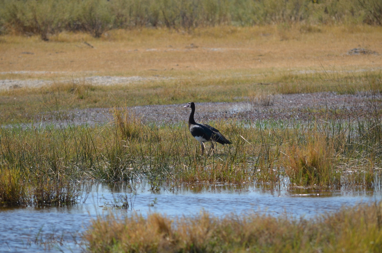 [22584] 2016_06_30_01_34_16_Africa_NIKON_D5100_IMG__05213.jpg