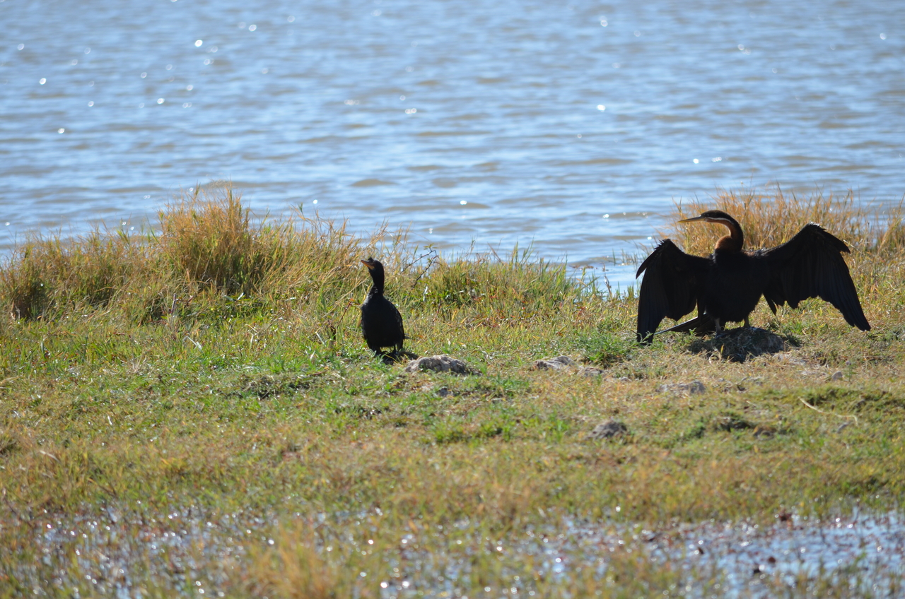 [22585] 2016_06_30_01_35_31_Africa_NIKON_D5100_IMG__00592.jpg