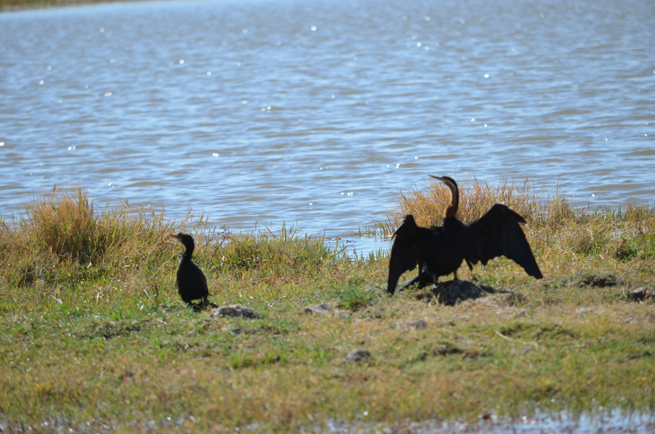 [22588] 2016_06_30_01_35_44_Africa_NIKON_D5100_IMG__05215.jpg