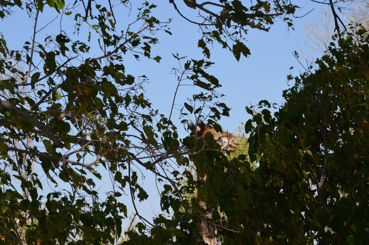 [23161] 2016_06_30_02_39_12_Africa_NIKON_D5100_IMG__00646.jpg