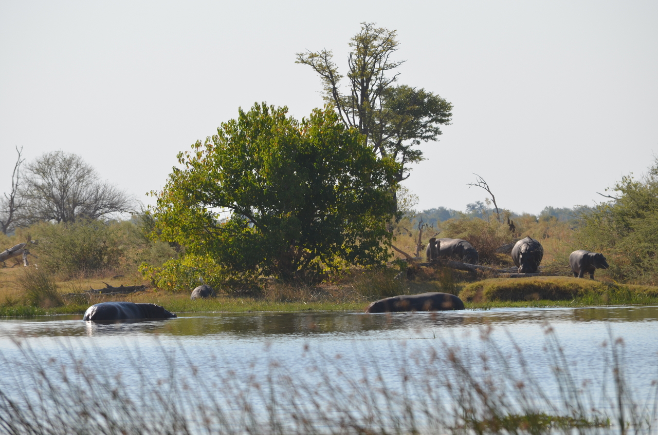 [23780] 2016_06_30_05_15_46_Africa_NIKON_D5100_IMG__05334.jpg