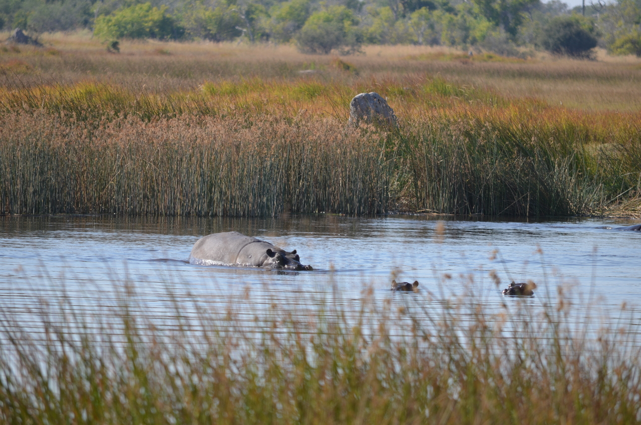 [23928] 2016_06_30_05_27_59_Africa_NIKON_D5100_IMG__05342.jpg