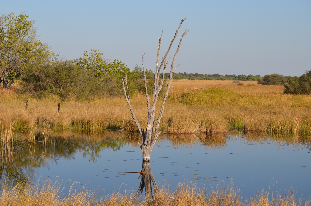 [24609] 2016_06_30_06_49_44_Africa_NIKON_D5100_IMG__05360.jpg
