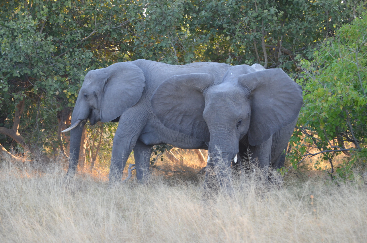 [24634] 2016_06_30_07_24_50_Africa_NIKON_D5100_IMG__05363.jpg
