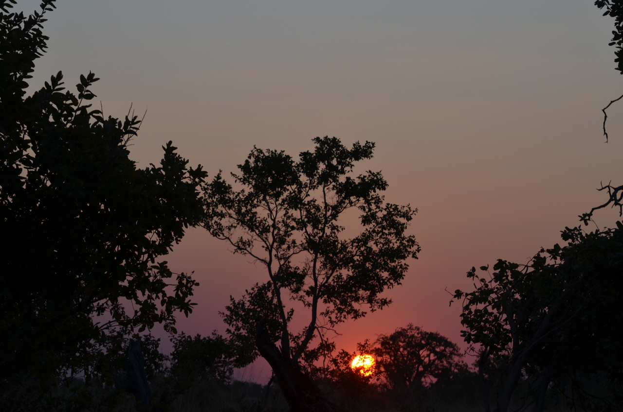 [24649] 2016_06_30_08_03_34_Africa_NIKON_D5100_IMG__00745.jpg