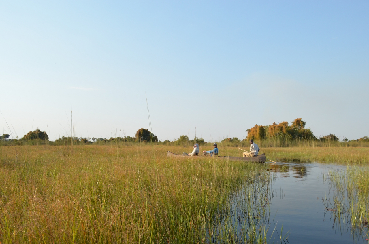 [26783] 2016_07_01_06_38_24_Africa_NIKON_D5100_IMG__05425.jpg