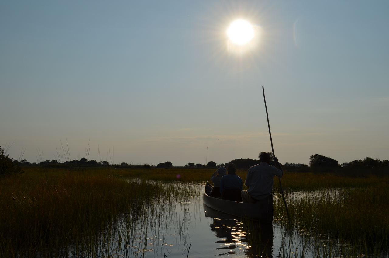 [26806] 2016_07_01_06_39_41_Africa_NIKON_D5100_IMG__00815.jpg