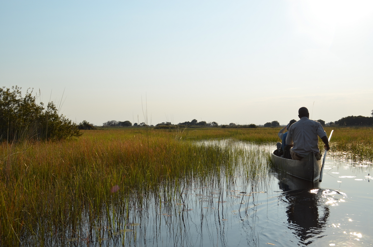 [26810] 2016_07_01_06_39_50_Africa_NIKON_D5100_IMG__00817.jpg