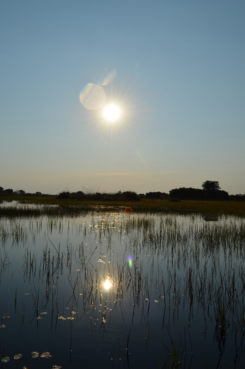 [26815] 2016_07_01_06_49_15_Africa_NIKON_D5100_IMG__05441.jpg