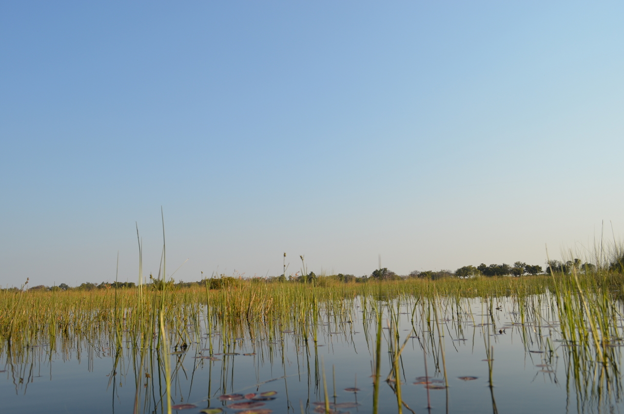 [26820] 2016_07_01_06_49_49_Africa_NIKON_D5100_IMG__00822.jpg