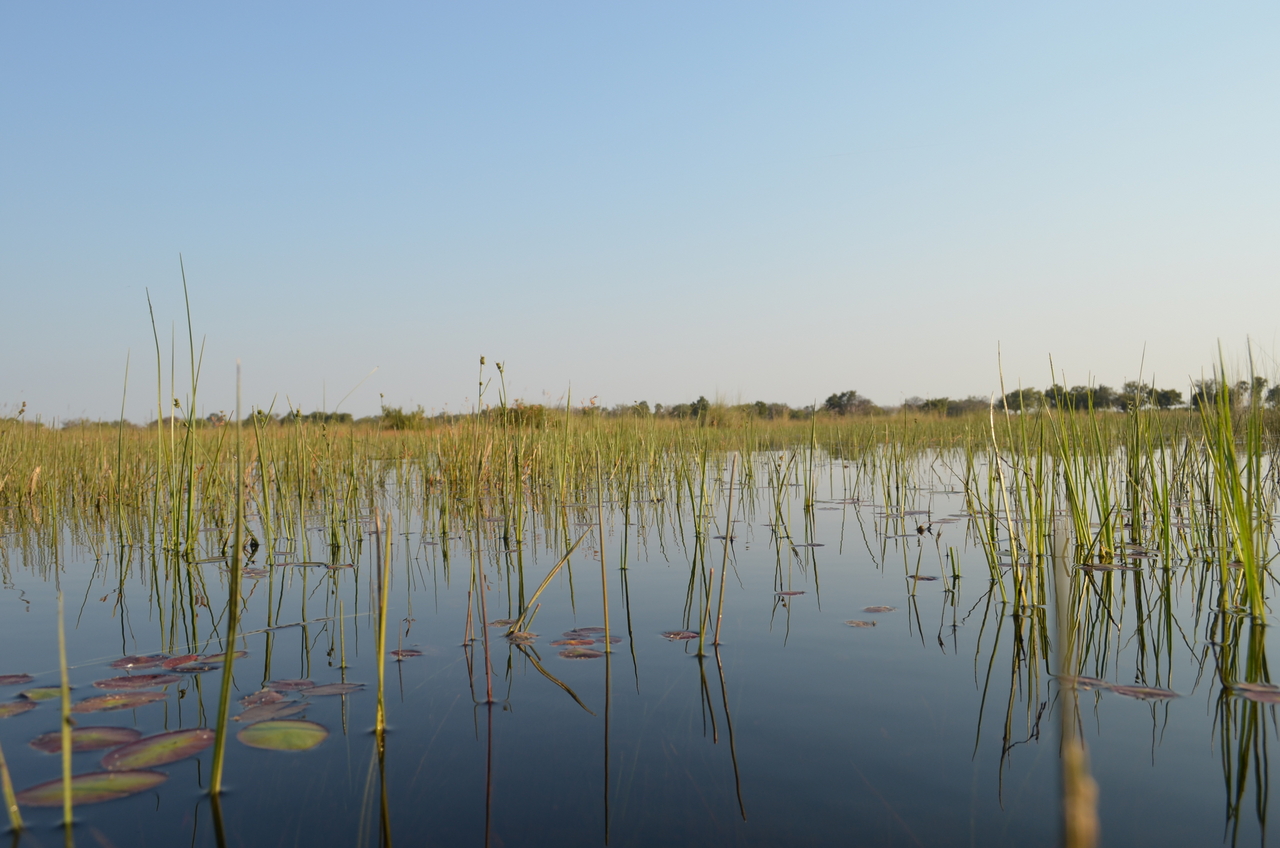 [26822] 2016_07_01_06_49_56_Africa_NIKON_D5100_IMG__00823.jpg