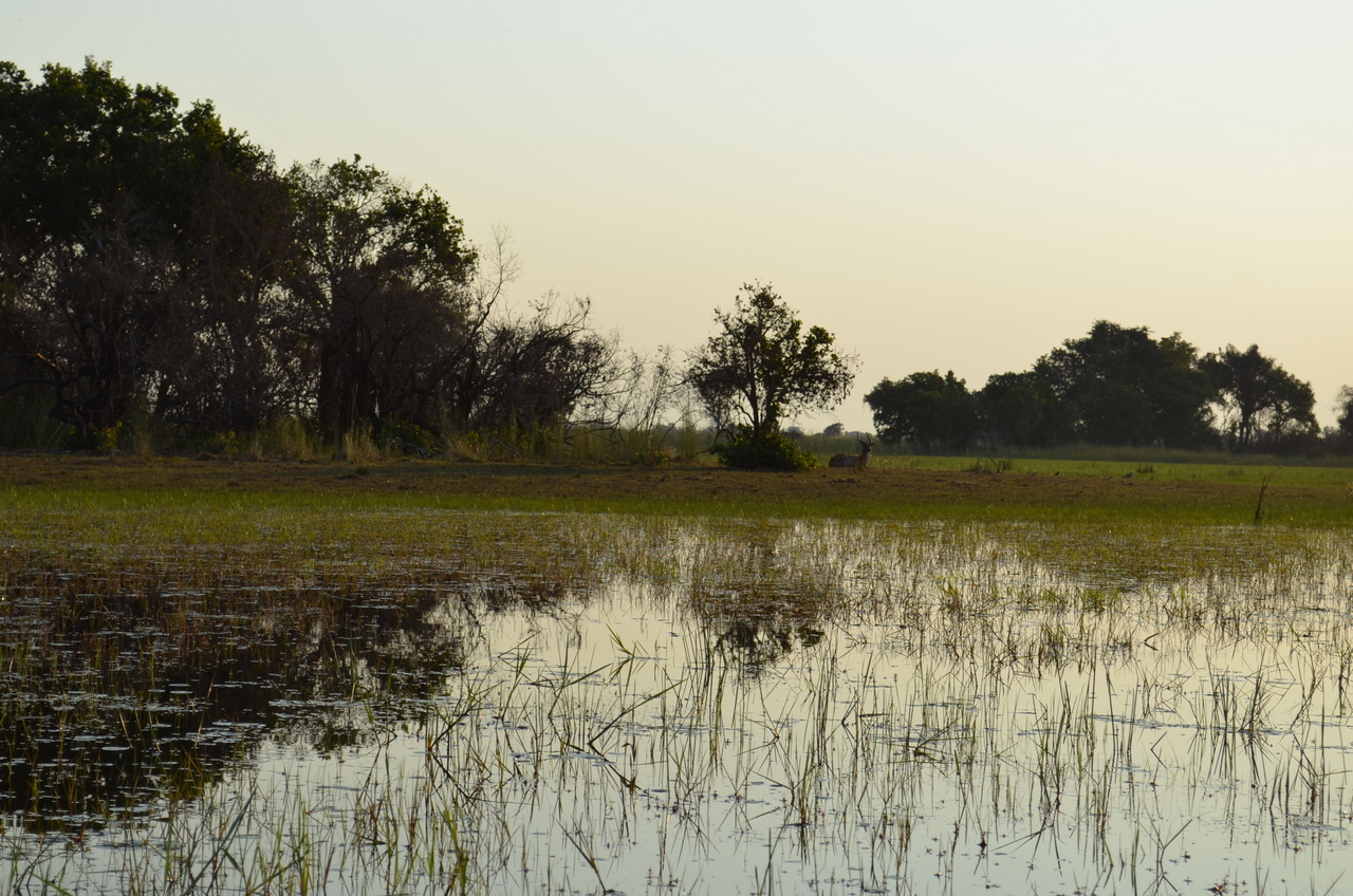 [26849] 2016_07_01_07_18_25_Africa_NIKON_D5100_IMG__05458.jpg